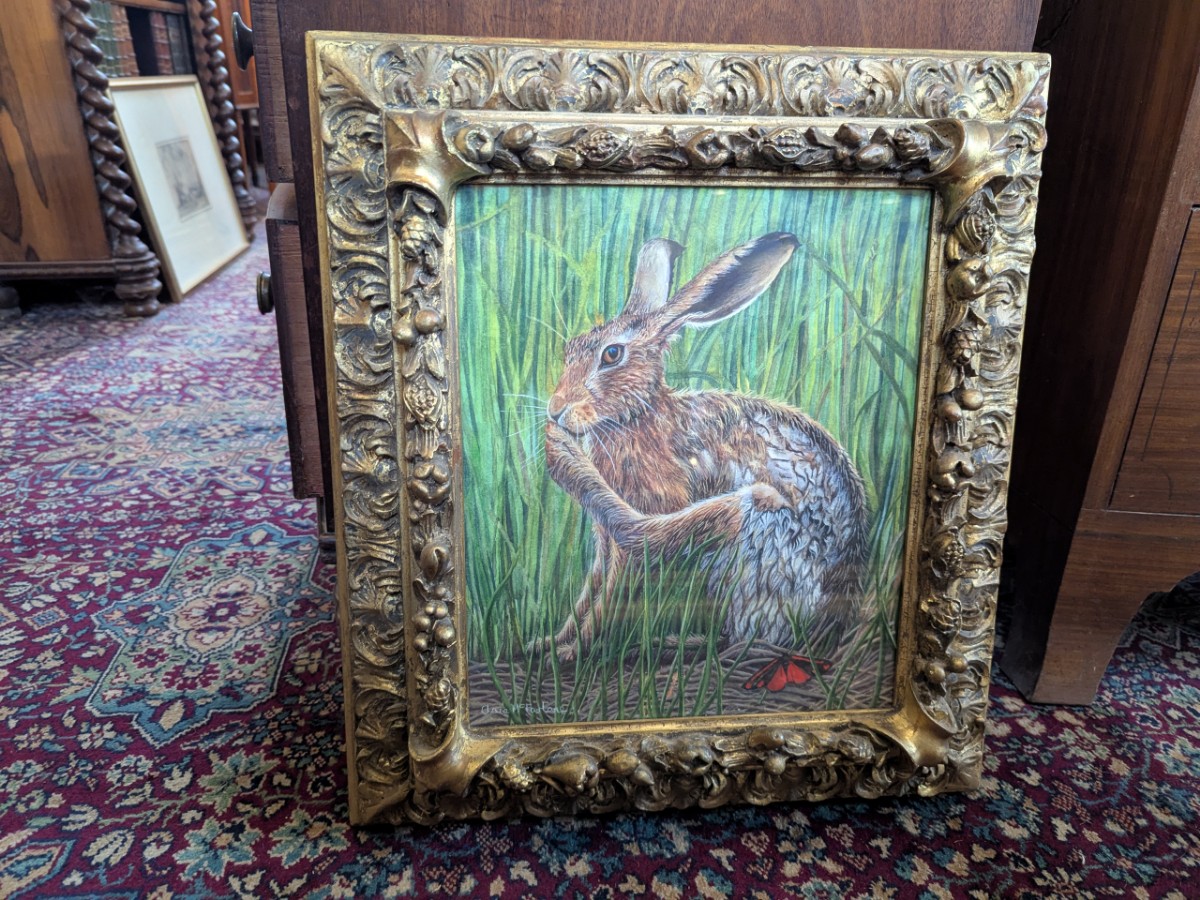 Clare McFarlane - 'The Hare And The Moth'